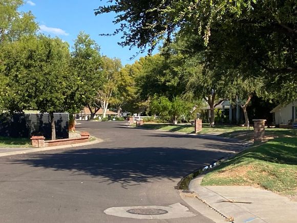 Shady Arcadia streets are nice on a hot summer morning