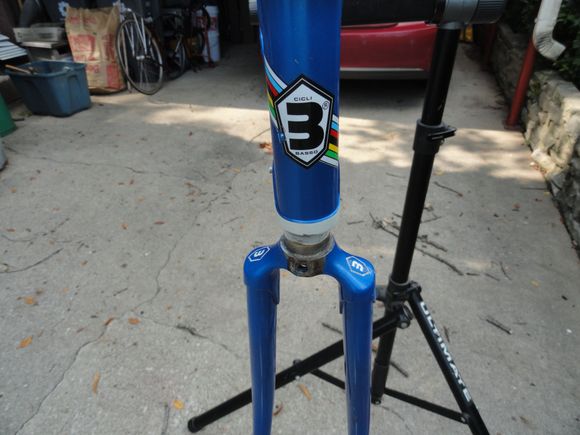 Regular Basso logos and pretty good paint up front.