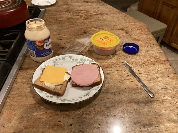 Supper Of Champions full calorie mayonnaise and cheese lol.  