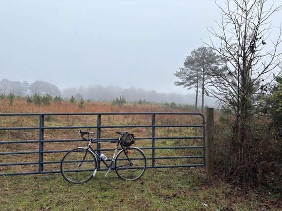 A very gray day …