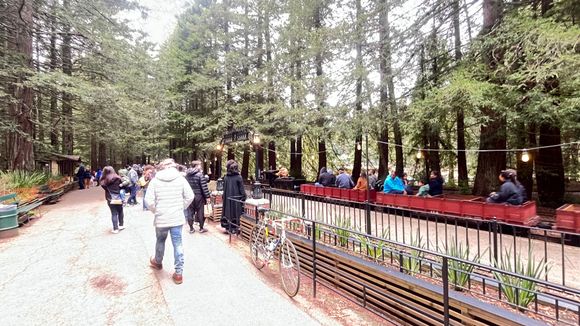 I made a stop at The steam trains in Tilden Park. 