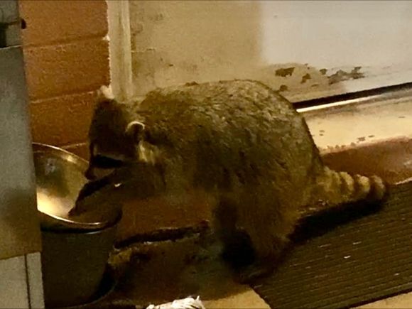 "Hey, thanks for the noms."