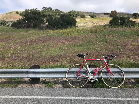 Today: endurance ride 30/2500 14.4mph