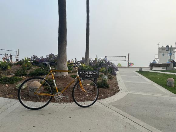 misty day by the beach