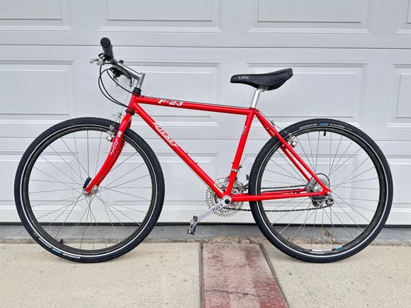 She’s a beauty!