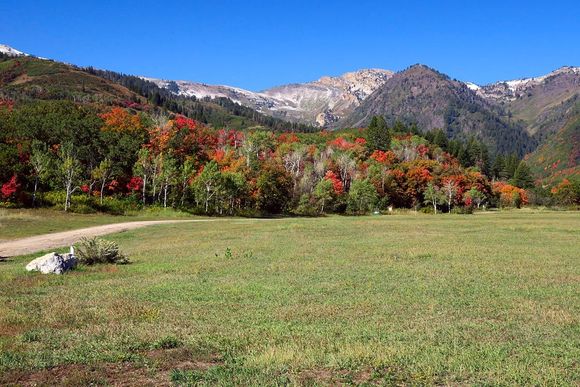 Yep, snow has already made it onto the mountain tops.