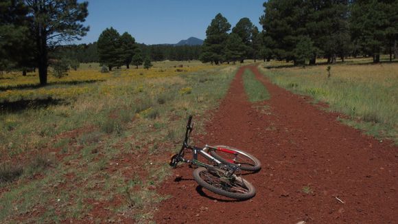 Returning from Sycamore Falls.  Bill Williams Mountain in the background

