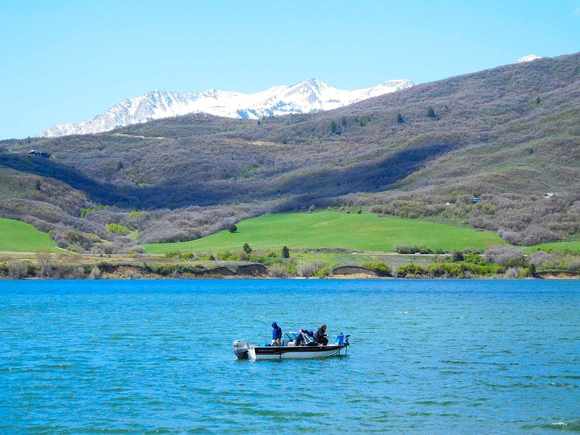 It had to be cold out on the water with the winds blowing today.  