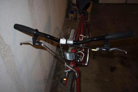 Looks like good quality brake levers.  