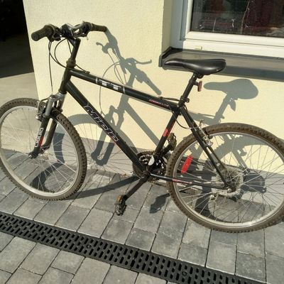 Miele 2025 mountain bike