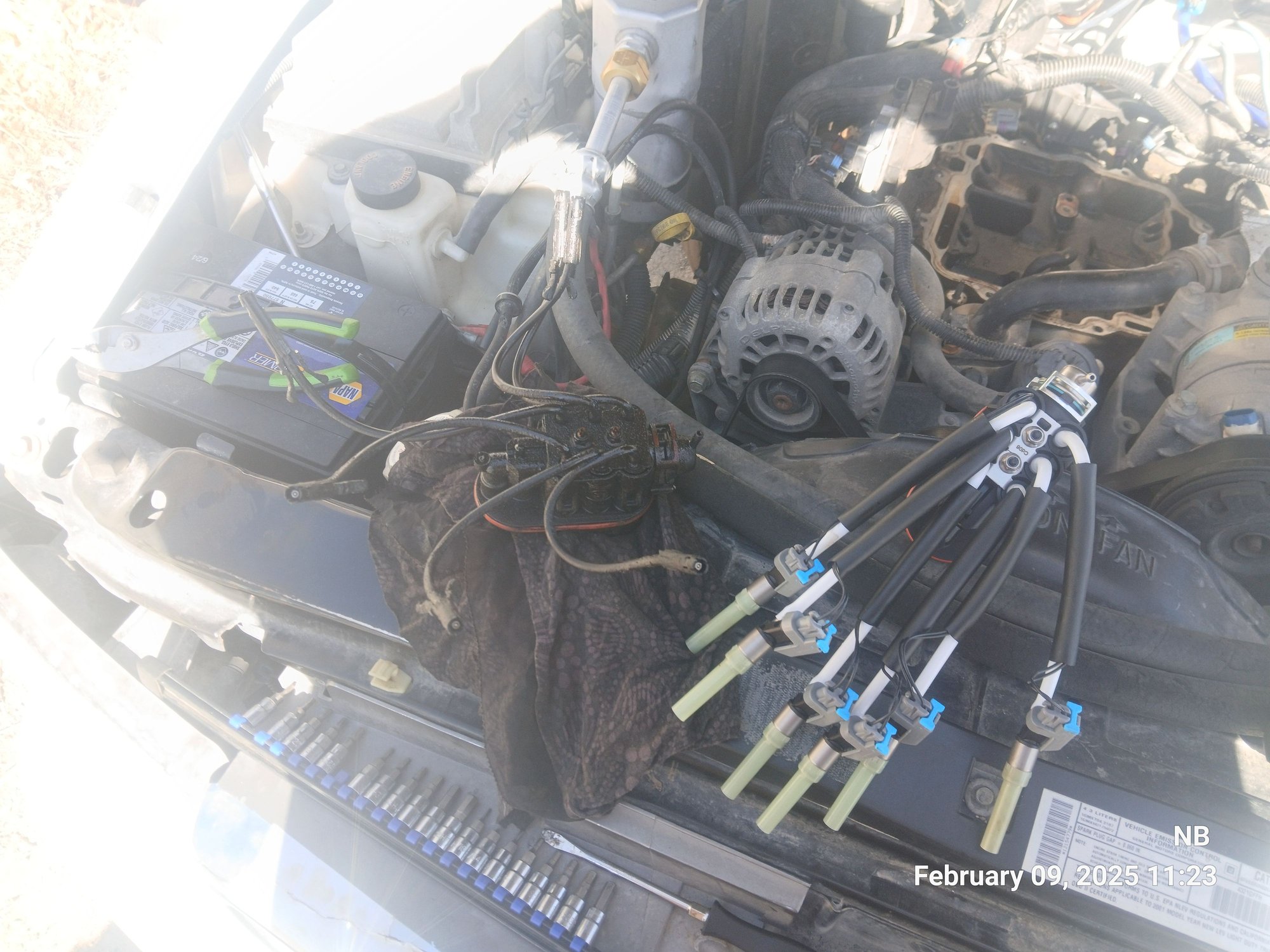 New and old spiders Feb.25