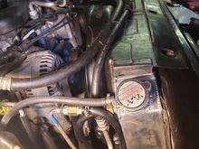 View from pass. side showing side of radiator and routing of transmission cooling hoses. Taking out the battery and the battery tray helps a lot.