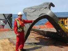 The large version of this "Bruce" anchor is used to hold oil rigs in place.