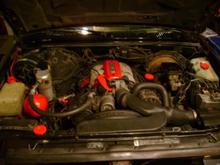 little bit of paintin