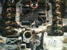 photo (1)