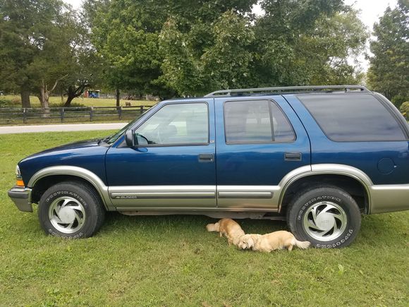 Dogs are not mine. Prfevios owner
