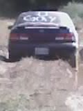fun day at the mud hole