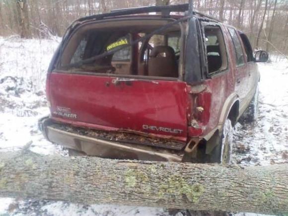 the tree that almost ended the blazer!