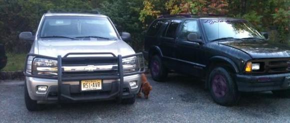 My '02 Trailblazer and my '95 Blazer.

I did some photo editing to see how it may look.
I thought about black on black but that's over rated.
Not often you see black with purple and I am a Gal. :)