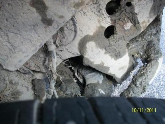 Believe it or not theres a sway bar and a control arm hiding under all of that lol