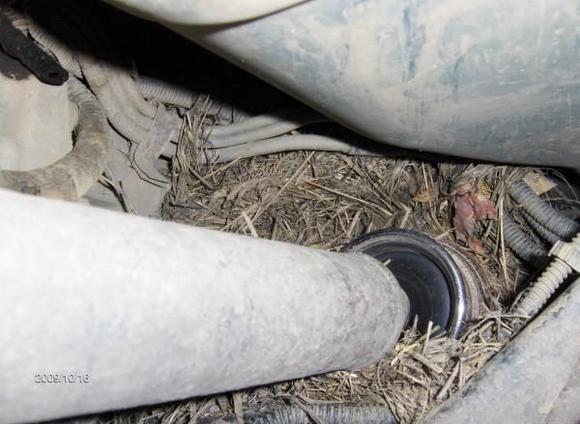 now i know why i smelled something burning the last couple of days............