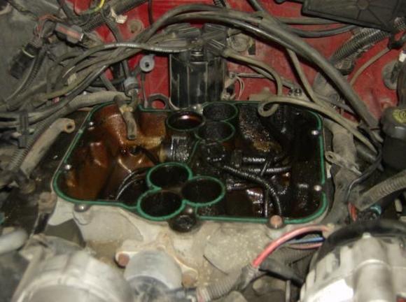 New spider,nut kit, fpr, gaskets, egr cleaning, new Map