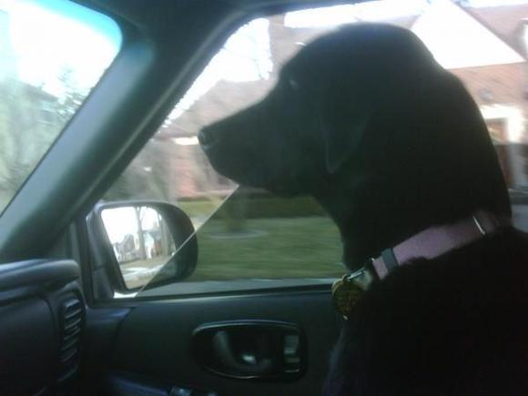 My passenger when girlfriend isn't in town