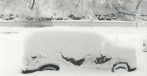 Blazer in Snow