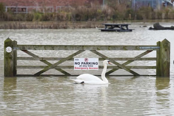 A swan flouts the traffic regulations in Wellingborough which flooded last week due to rising levels of the River Nene.