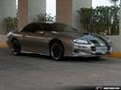 Zoilus_2002_Z28