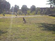 IMG 20150724 084156 446