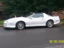 84 white knight