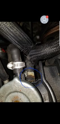 Hose coming out of the Radiator circled.
