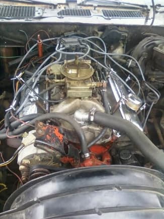 350ci
Edelbrock intake manifold/valve covers/Air filter(not shown)
Installed yesterday:
New dist cap rotor button/plugs wires/valve cover gaskets/oil change filter/set ignition timing

Warning: Don't stick your fingers in the fan. I got lucky and got to keep mine. :P