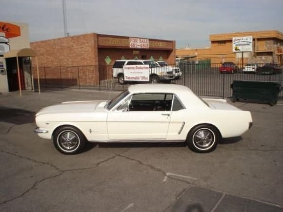 1964 1/2 Ford Mustang born June 11, 1964 so it is a true 64 1/2 has 289 ci 271 horse engine. Looks like a plain Jane but this pony will run.