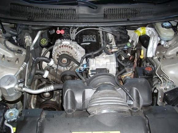 New engine with painted intake and valve covers (that you cant see)