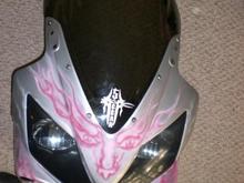 bike paint