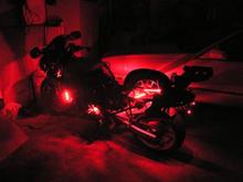 LEDS Lights her up