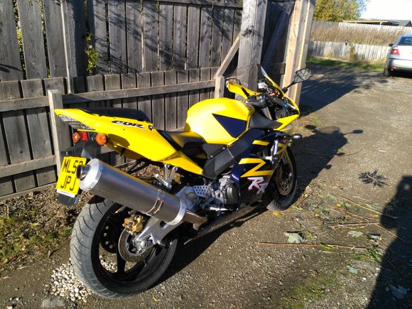 CBR 954RR pic 2