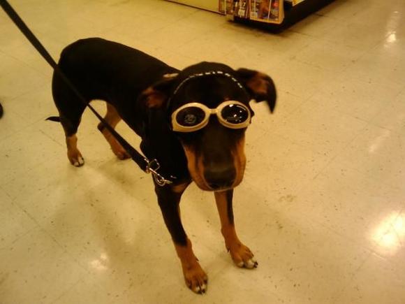 ready to ride