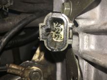 End view of plug