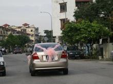 aveo3