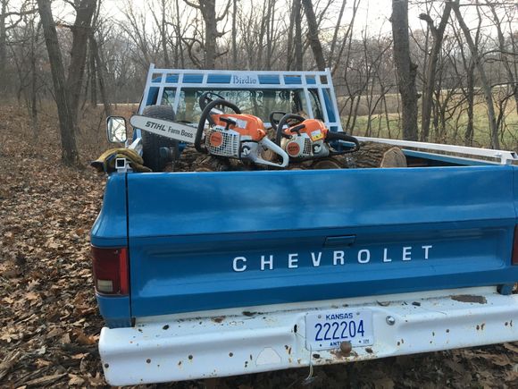 Hauling biomass for the fireplace.