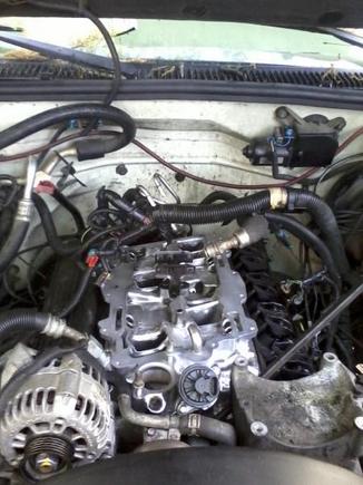 Before upgrade