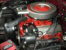 Red Sled