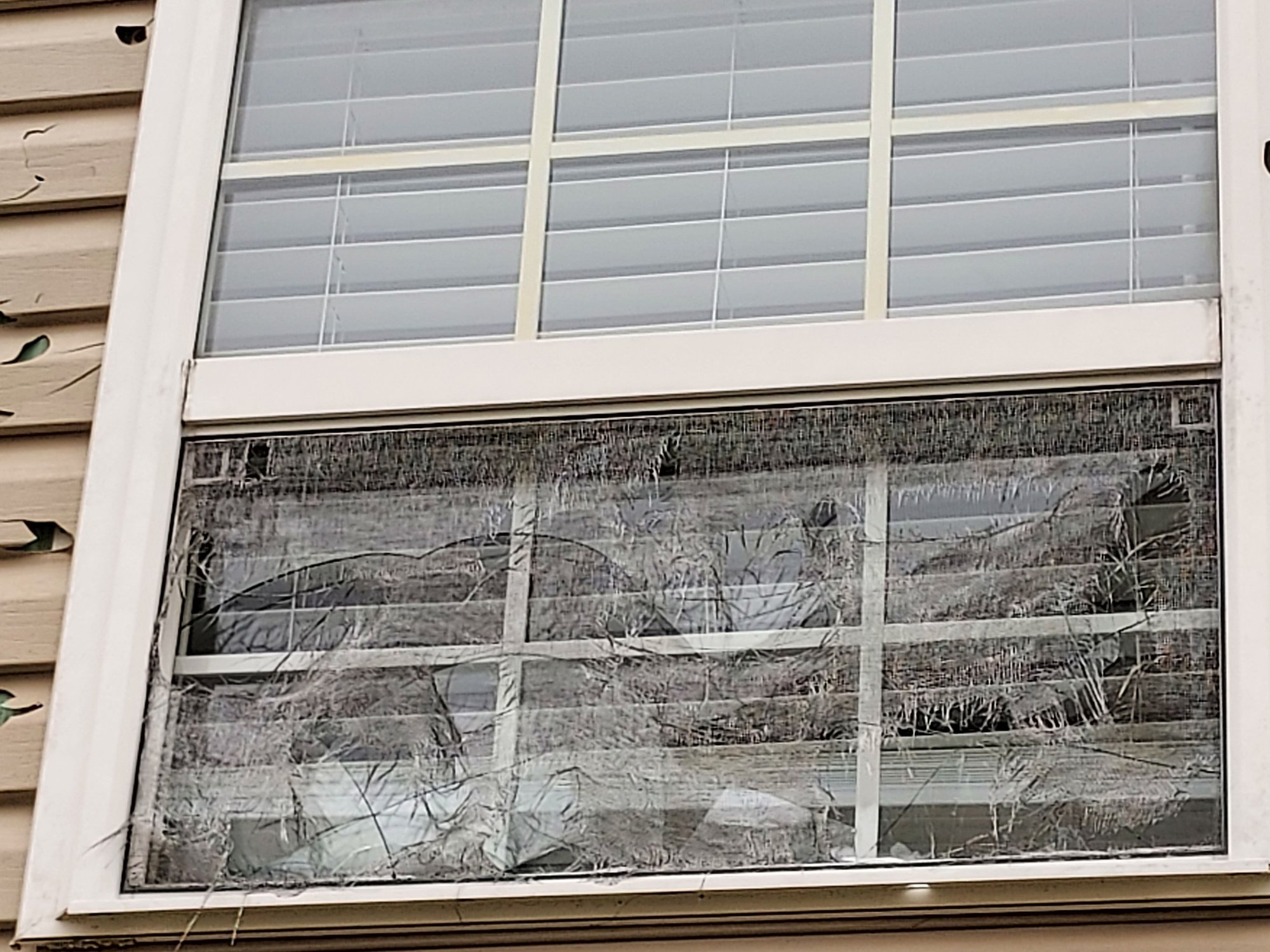 Window above kitchen sink, inner pane intact