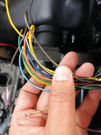 ... Is there any wire that goes to the motor to work probably? 