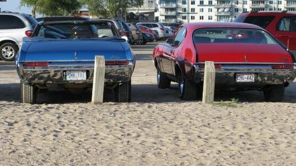 I love going to the Beach with my buddy!
