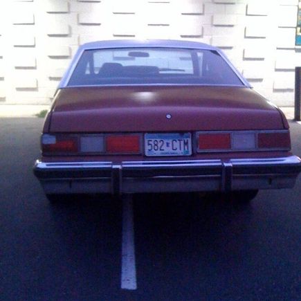 78 OMEGA REAR