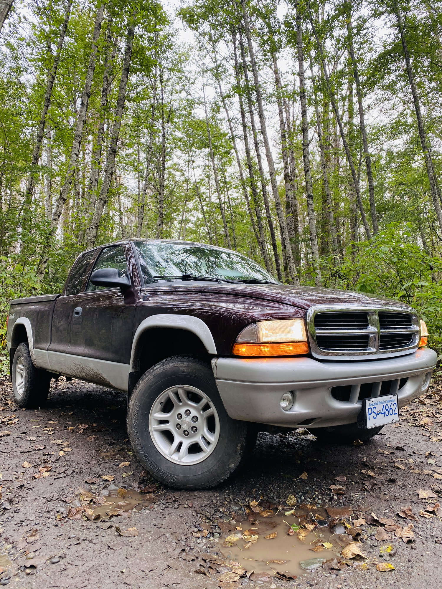 Dodge Dakota Bolt Pattern Top 70+ Images & 12 Videos